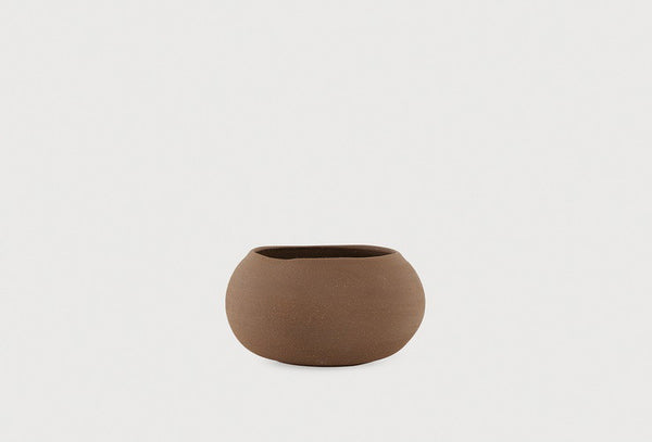 Seed — 1