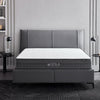 Tesla Sleep Power