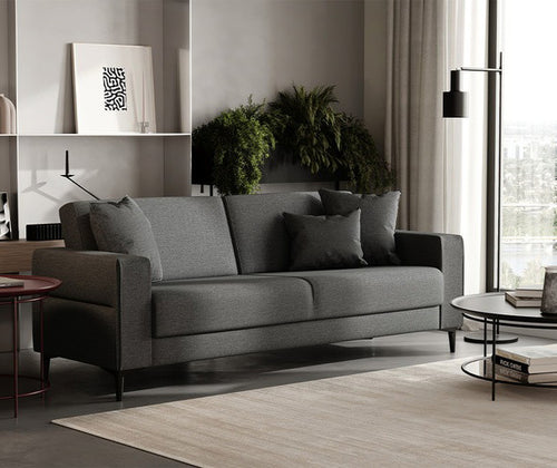Briza Plus