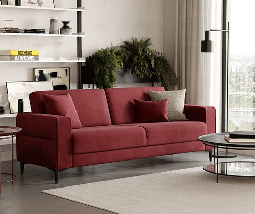 Briza Plus