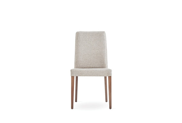 Paloma — 3