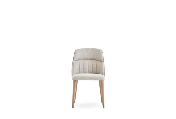Paloma — 3