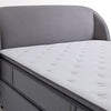 Lotto Orthopedic Support