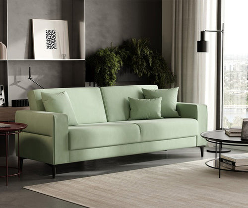 Briza Plus
