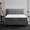 Tesla Sleep Power