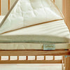Cottonia