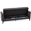 Forte Plus