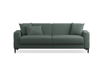 Briza Plus