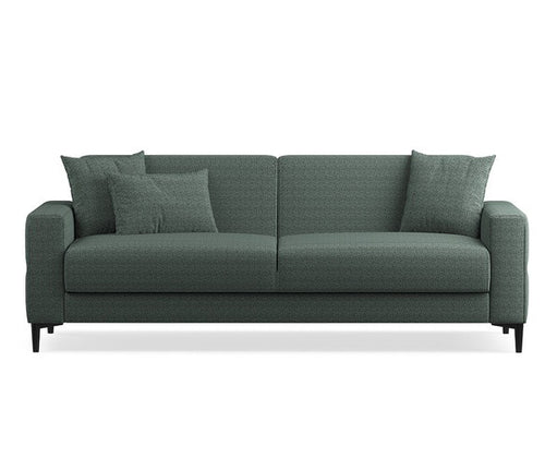 Briza Plus