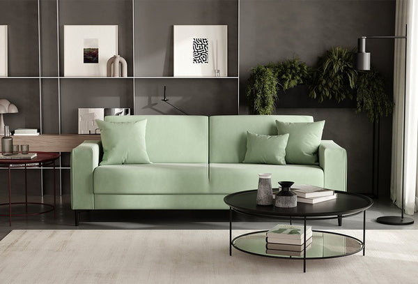 Briza Plus — 2