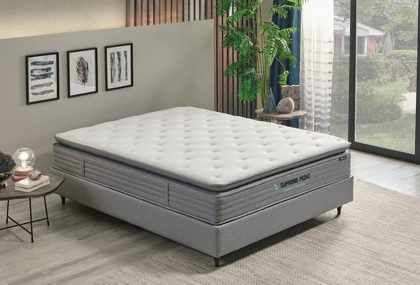 Supreme Pedic — 2