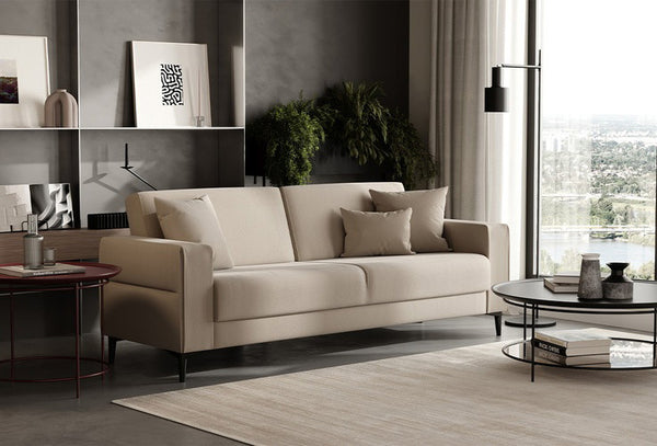 Briza Plus — 1