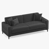 Briza Plus