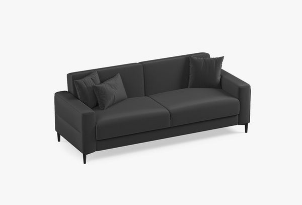 Briza Plus — 1