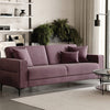 Briza Plus