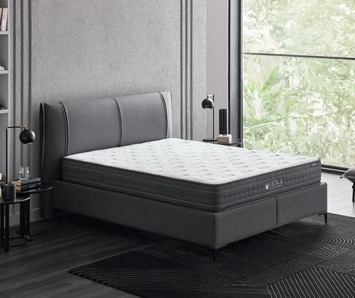 Tesla Sleep Power