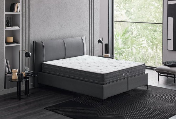Tesla Sleep Power — 1