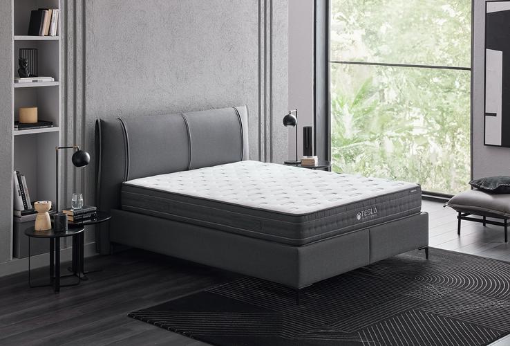 Tesla Sleep Power