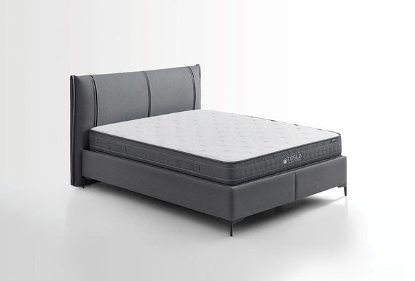 Tesla Sleep Power — 2