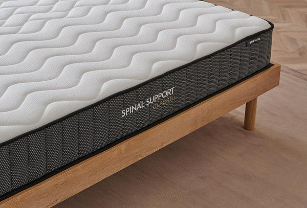 Spinal Support Classic — 2