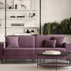 Briza Plus